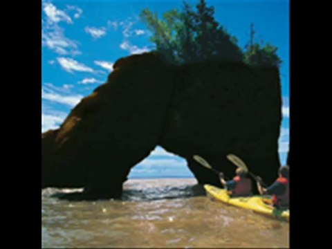 calgary junk Removal