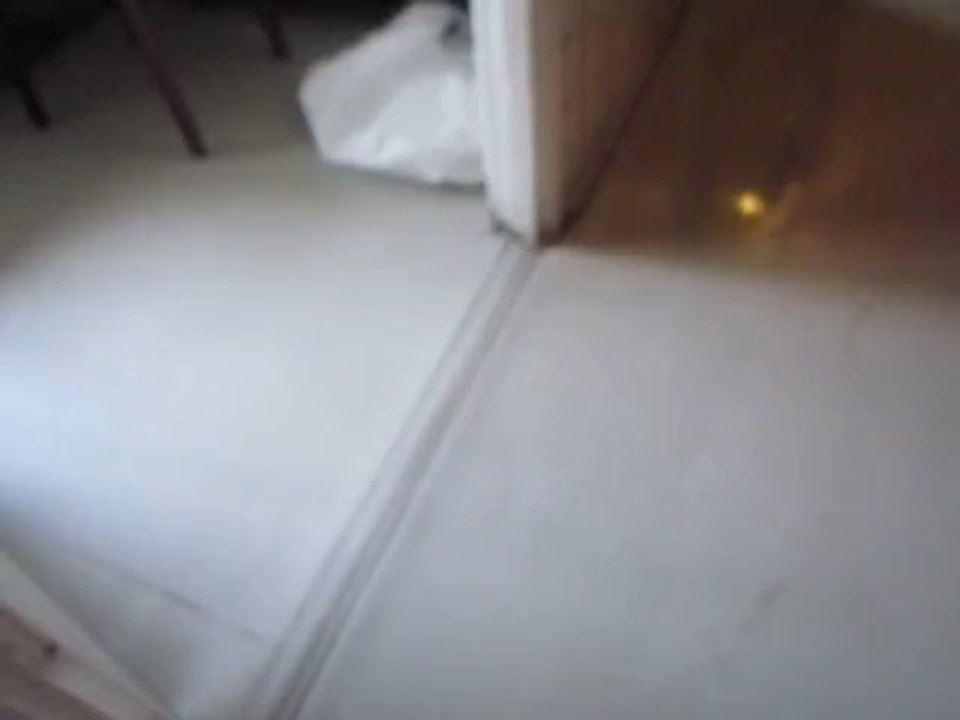 MVI_1377