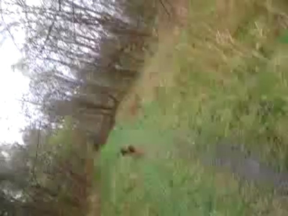 Haltesse adore la pluie!
