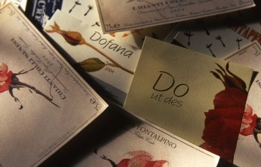 Fattoria Carpineta Fontalpino - Emozioni forti ed atmosfere indimenticabili