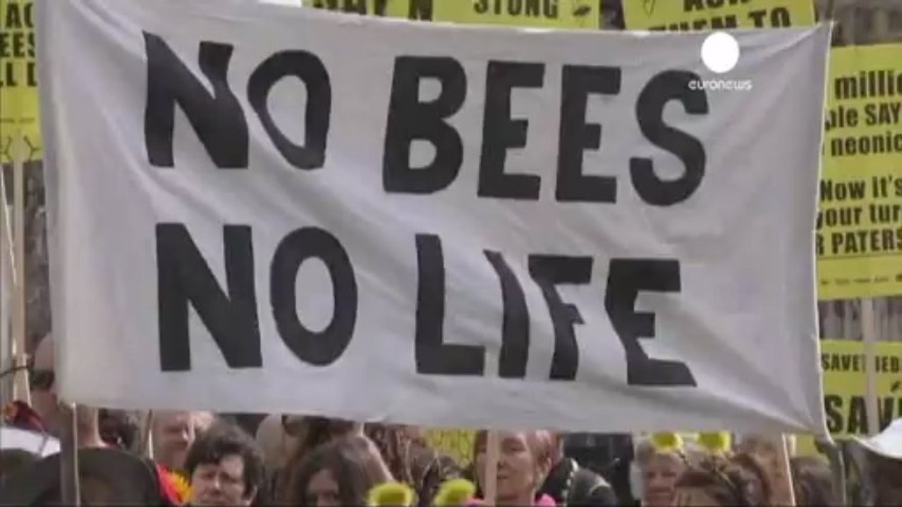 Manifestation à Londres pour sauver les abeilles des...