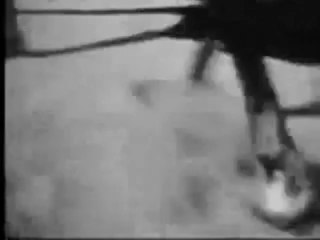 1967 Ford Mustang Full Line Commercial