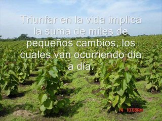 Triunfar-en-la-vida-implica-exigir-hoy