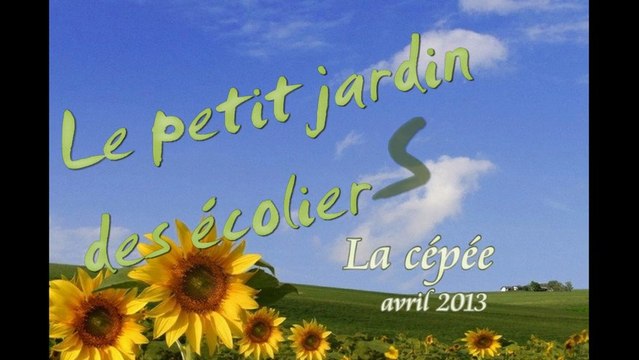 Réalisation d'une cépée avec le petit jardin des écoliers