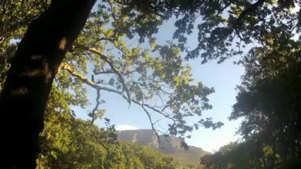 Vivre en Afrique du Sud