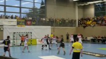 But Alexander Petersson / Rhein-Neckar Löwen - SC Magdebourg / 1/4 finale Coupe EHF Handball