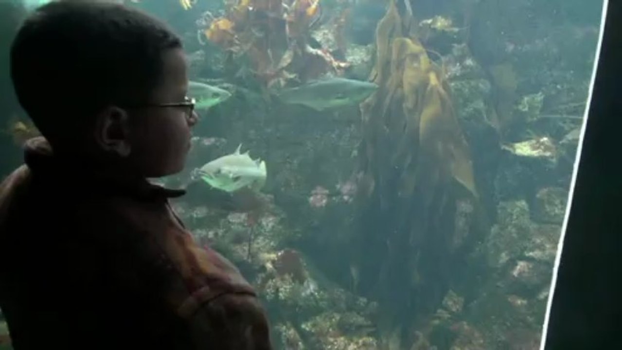 Oceanopolis_1