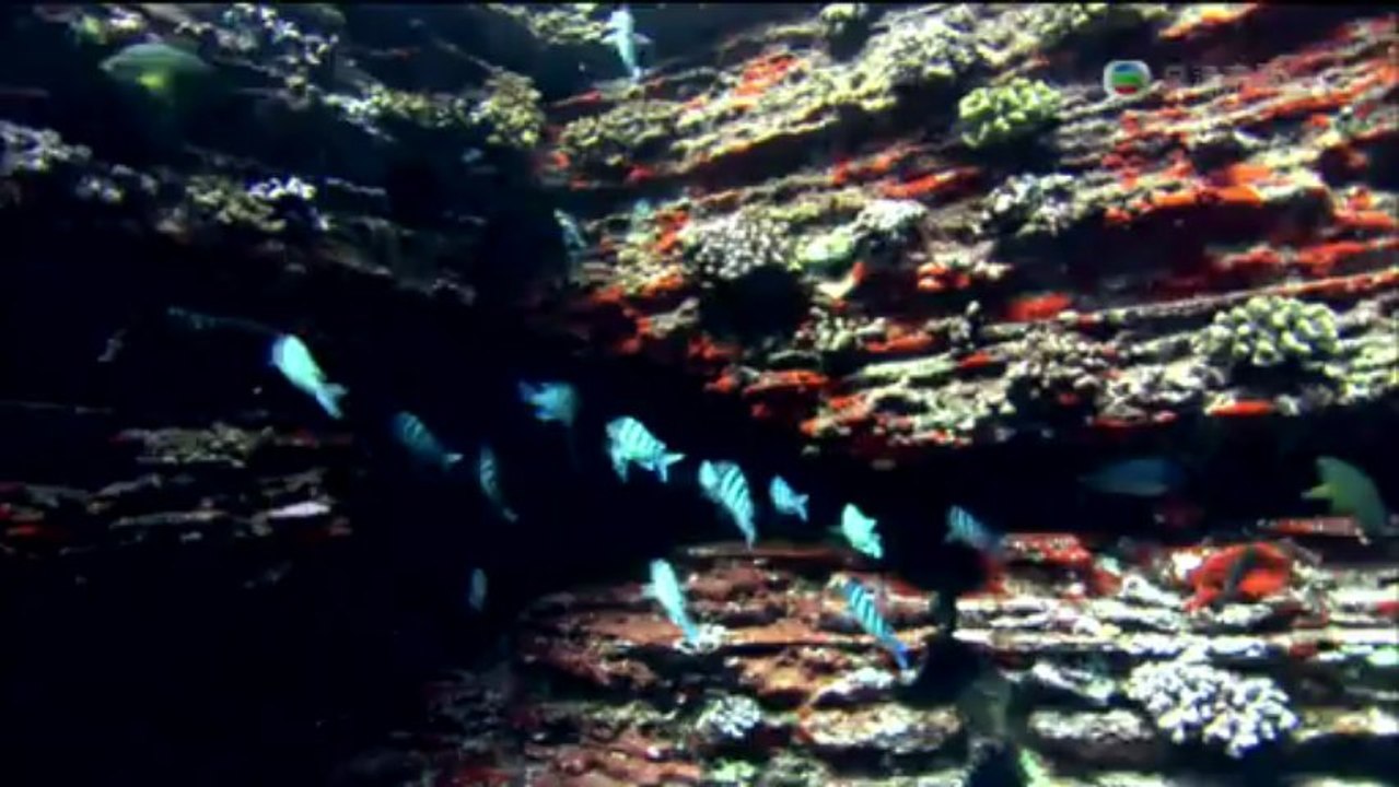 Earth The Power of the Planet天造地設04 Oceans海洋