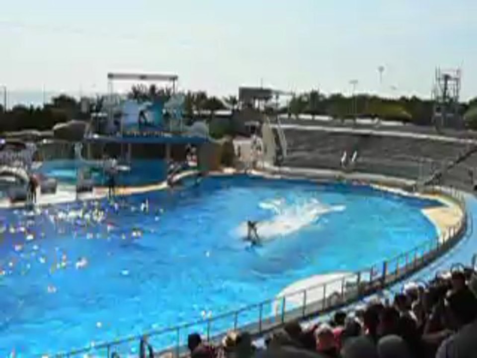 Marineland4