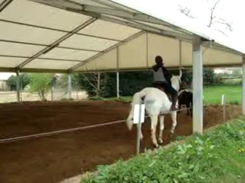 CONCOURS 28-04-13 - ECURIES DE LA POTERIE 010