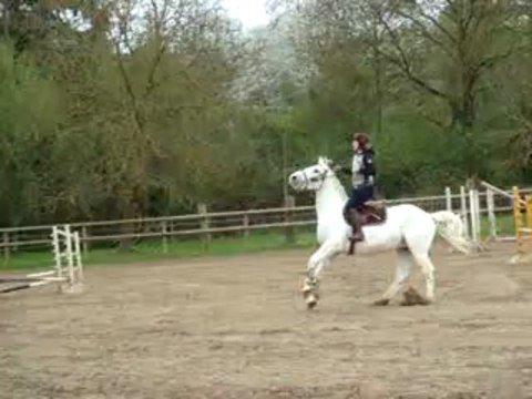 CONCOURS 28-04-13 - ECURIES DE LA POTERIE 016