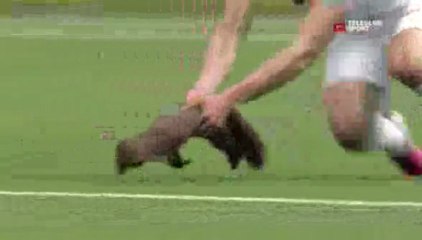 Marta invade campo de futebol e causa a loucura