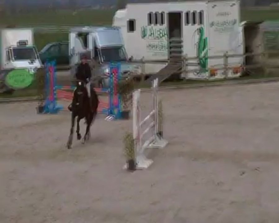 Carcassonne d En Haut 1ère dans le 90 à Moorsel sur 68partants