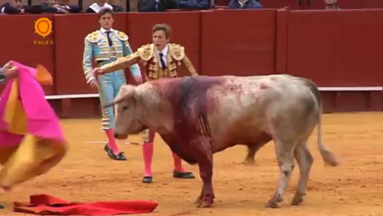 PINTURERÍA DE LAMA Y AMBICIÓN DE ROMÁN