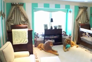 517 Douglas Dr, Johnson City, TN