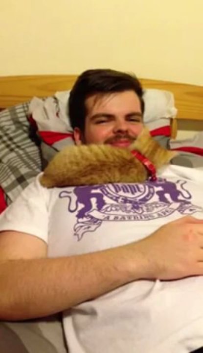 Un chaton dans la bouche