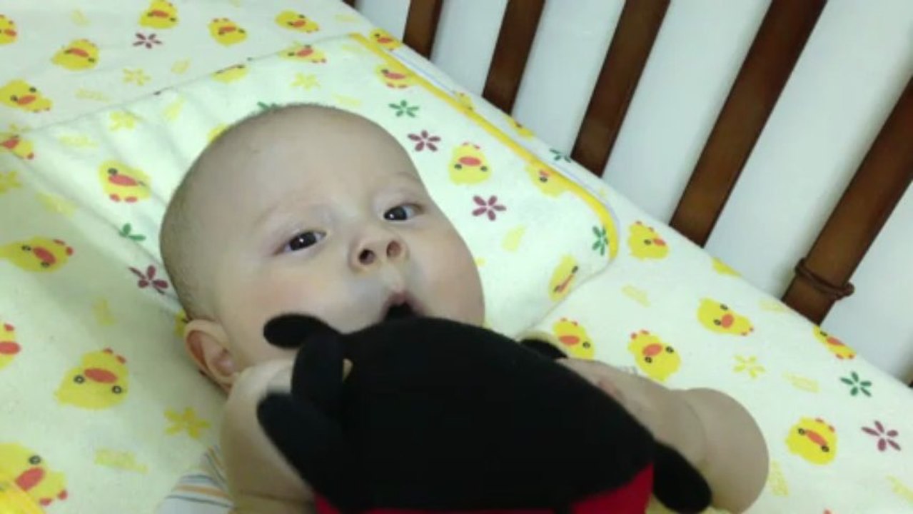 eating ladybug