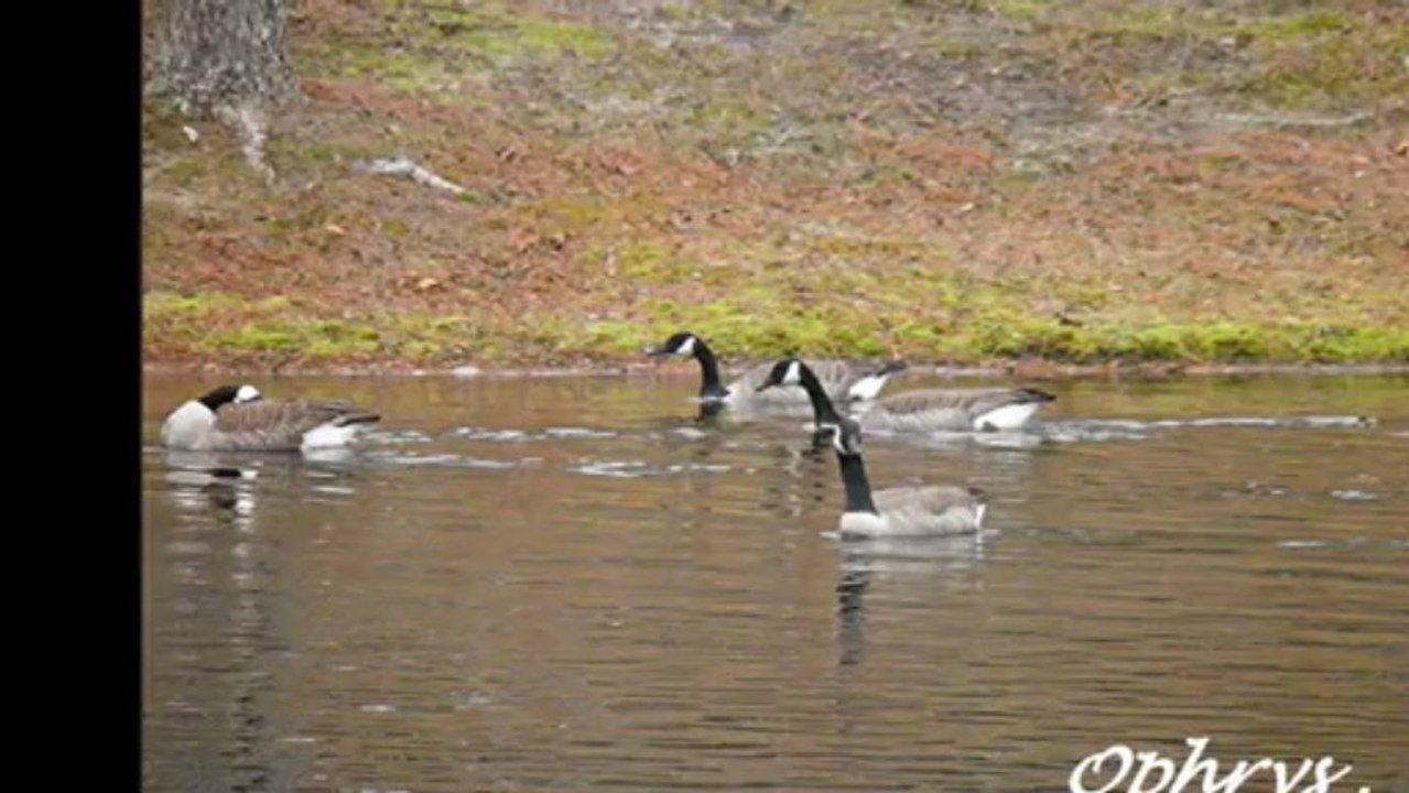 Un moment  de  douceur  .