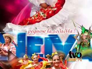 TVO BIEN DE FESTIVAL