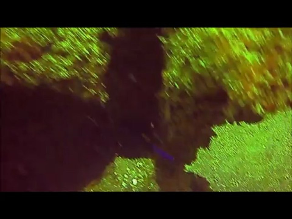 Dive to Tex Edwards Barge