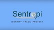 Sentropi-Online Fraud Prevention Mobile Fraud Detection Web Fraud Detection security solutions