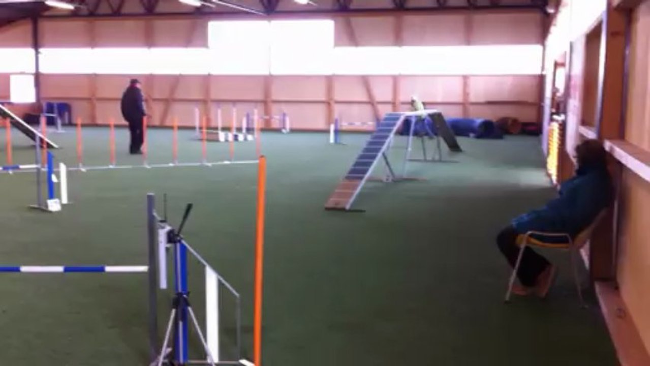 officiel Aska