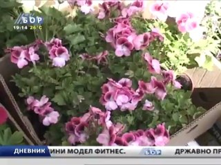 Dnevnik, 28. april 2013.