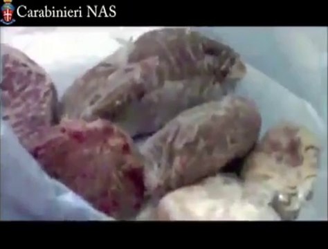 Torino - I Nas sequestrano cibo deteriorato in ristorante giapponese (04.05.13)