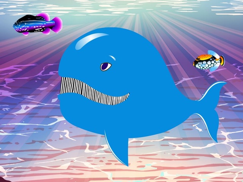 C'est la baleine