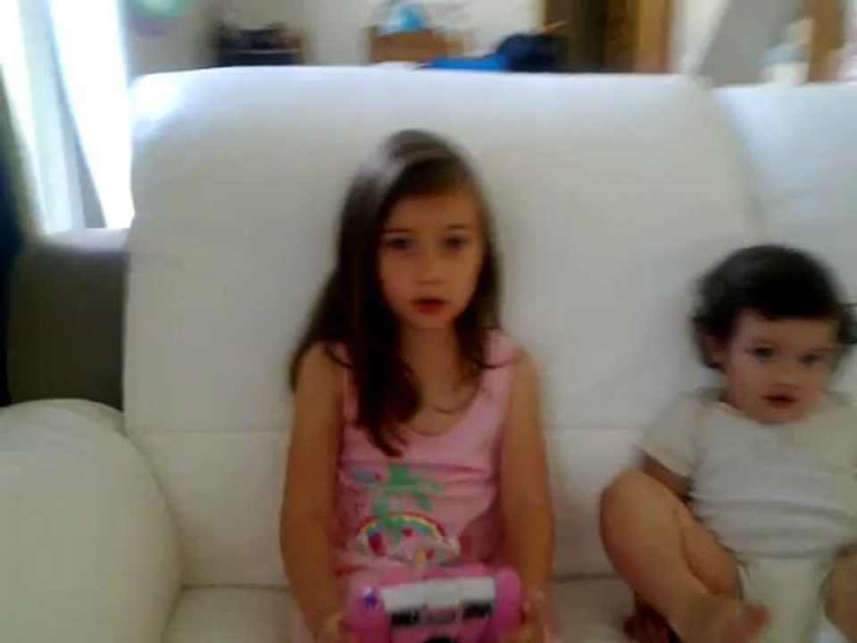 la petite coccinelle