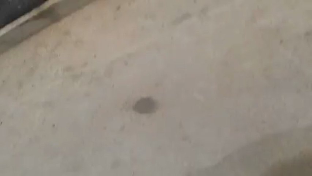 uzsan hayvan durak demiri