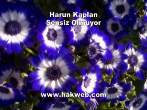 Harun Kaplan - Sensiz Olmuyor - http___ hakweb.com