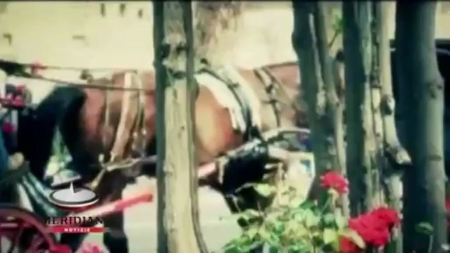 Con Mamma Roma nel mondo la città eterna sbarca oltreconfine