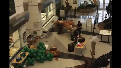 Larry Moss fabrique un dinosaure grandeur nature avec des ballons