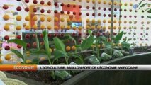 Maroc : L’agriculture, maillon fort de l’économie marocaine