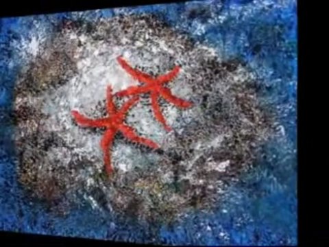 SEN GİTTİNYA_ARZU KARADOĞAN YORUMUYLA İHSAN TURHAN ŞİİRİ