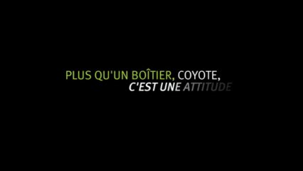 TEASER-portraits Coyote