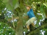 moi qui monte au arbre