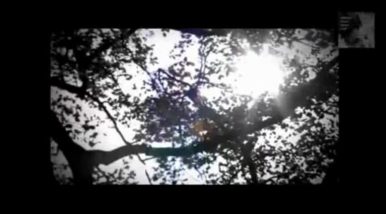 SENDE KAYBETTİM'BİZİ'_ARZU KARADOĞAN
