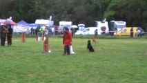 Agility Dolce champ reg brignoles 2013 jumping