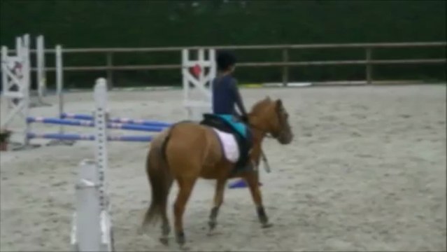 équitation saut d'obstacles