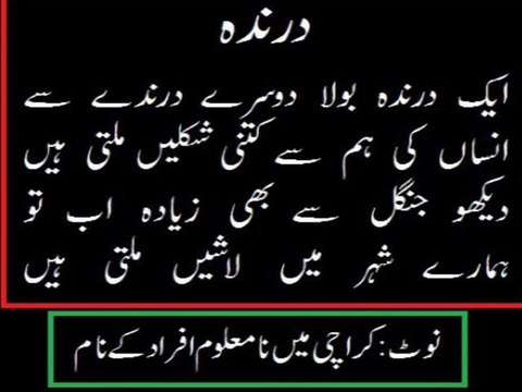 Election Campaign Of Namaloom Afrad