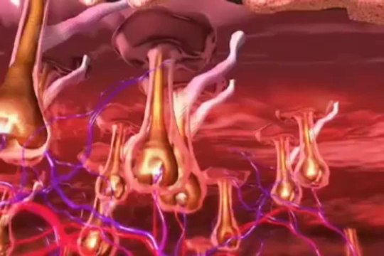 221 Degreese Mississauga Demo of Laser Hair Removal Soprano XL