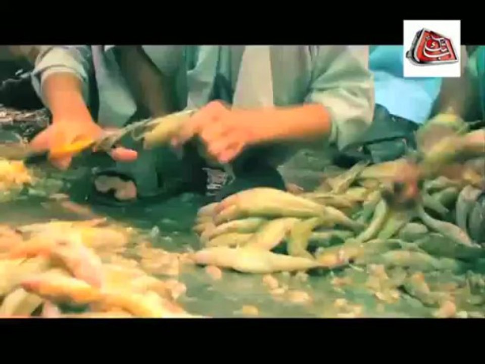 Kaho ABB TAKK Part 1