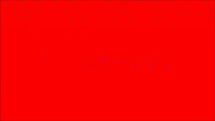 Bullit Sélectif GPF 2013