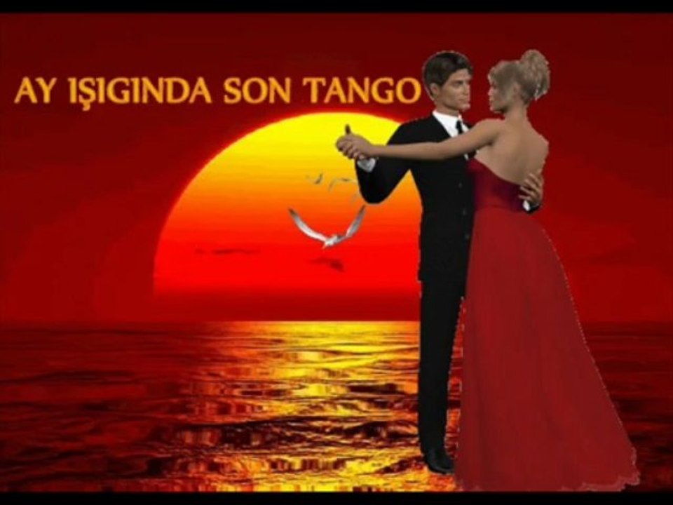 SEVDİGİME HİÇ PİŞMAN OLMADIM -