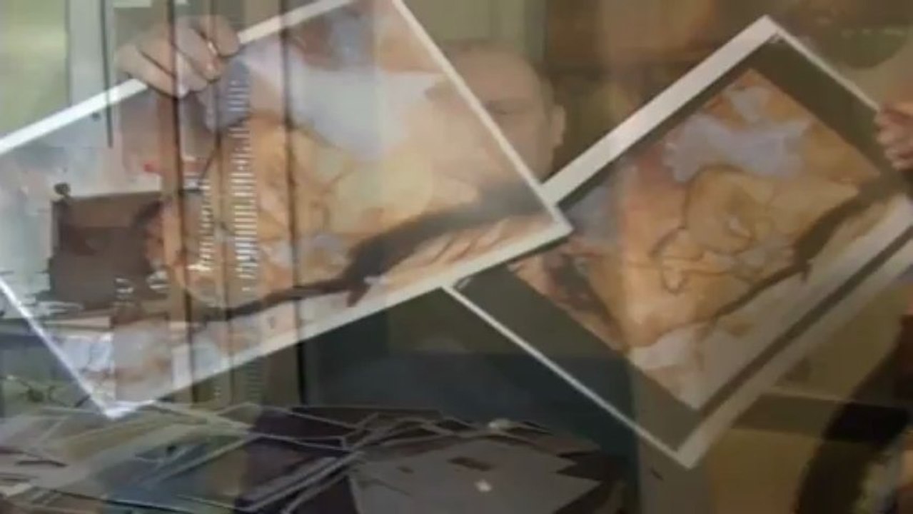 Homo Sapiens Sapiens (Bande Annonce)