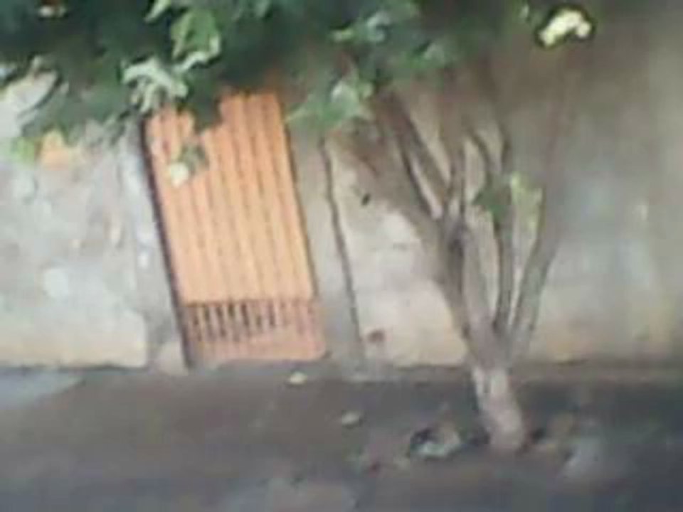 MATHEUS EM PRESIDENTE EPITACIO