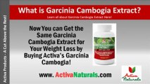 Want to Learn What is Garcinia Cambogia Extract? Learn all about Garcinia Cambogia Here!