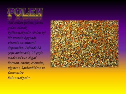 APİTERAPİ NEDİR? ARI SÜTÜ, POLEN, PROPOLİS VE BAL MUCİZESİ...